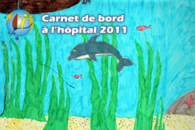 Carnets de bord à l'hôpital 2011