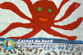 Les Carnets de bord des Hôpitaux en 2012