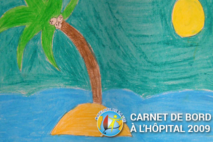 Carnets de bord à l'hôpital 2008