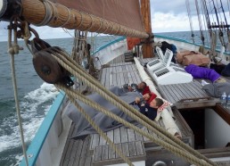 La fleur de Lampaul en pleine mer