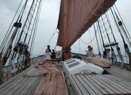 Arrivée dans le Golfe du Morbihan