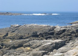 Vue de l’île Stagadon