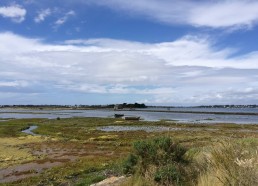 Paysage de l’île d’Arz