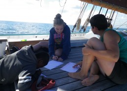 Un « petit bac » sur le pont du bateau