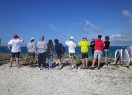 Observation des oiseaux avec des jumelles 