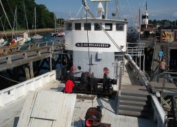 Les matelots visitent les bateaux du Port-musée