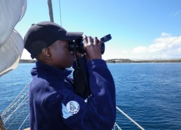 Mick observe les dauphins aux jumelles