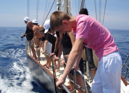 Les matelots observent des dauphins à l’étrave