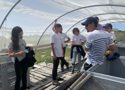 Visite des séchoirs pour les algues