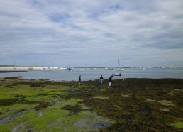 Pêche aux palourdes