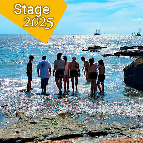 Stage Promotion 2025