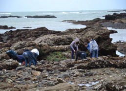 Les Matelots inspectent sous les rochers