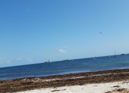 Plage de l’archipel des Glenan