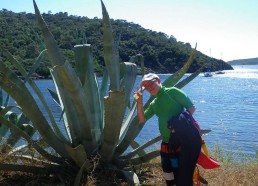 Petite balade sur le chemin côtier de Port Cros…Maël impressionné par ce cactus