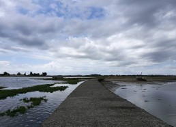 Paysage de l’île d’Arz