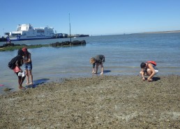 Une pêche à pied s’improvise