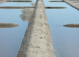 Un pont entre les oeillets