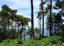 La super vue (presque un paradis) sur la mer