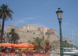 Calvi