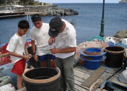 Pêcheur à Barcaggio