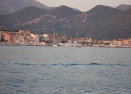 Le golf de Saint-Florent