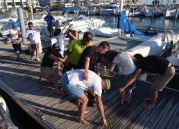 Petit jeu en arrivant à Port Camargue