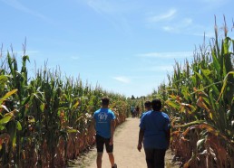 Les Matelots dans le labyrinthe de maïs