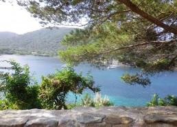 Vue du port de Port Cros