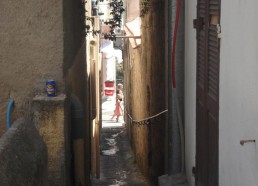 Calvi