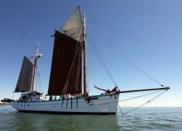 Dernier mouillage sous voiles