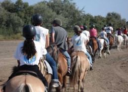 Balade en camargue