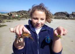 Lynn et sa famille de crabes