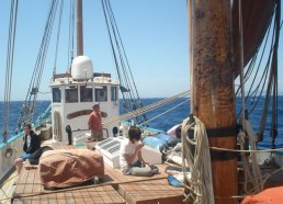 Arrivée des matelots en Corse