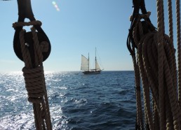 Nous ne sommes pas les seuls à profiter de la mer