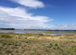 Paysage de l’île d’Arz