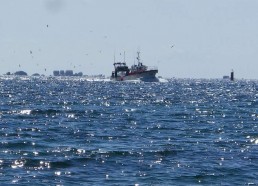 Bateau de pêche au large du Guilvinec