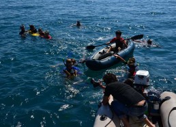 Tous les Matelots sont là