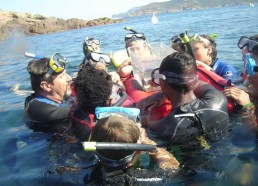 Les matelots observent la faune aquatique racontée par Jean-Baptiste