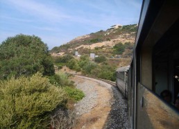 Paysage vu du train