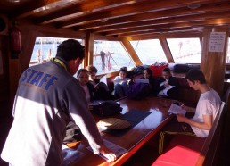 Aurélien du Grand Aquarium de St Malo rencontre les matelots.