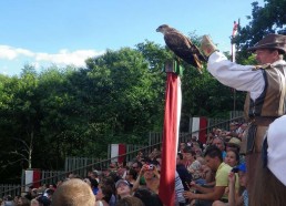 Le spectacle des oiseaux fantômes