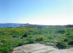 Arrivée à l’île de Penfret, dans l’archipel des Glénan