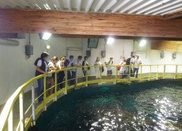 Visite des coulisses Le bassin des requins