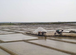 La saline de Pierre