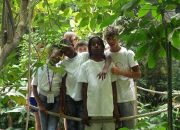 Les matelots au pavillon tropical