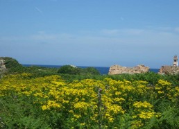 Le phare du Paon