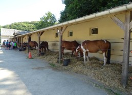 Le centre équestre