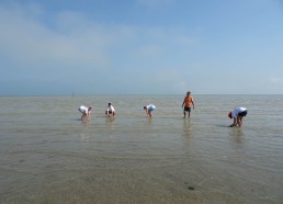 Nous voilà rejoins par la mer