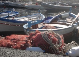 Barques de pêche dans le petit port d’Ustica 