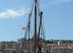 « Fleur de Lampaul » au cœur du vieux port